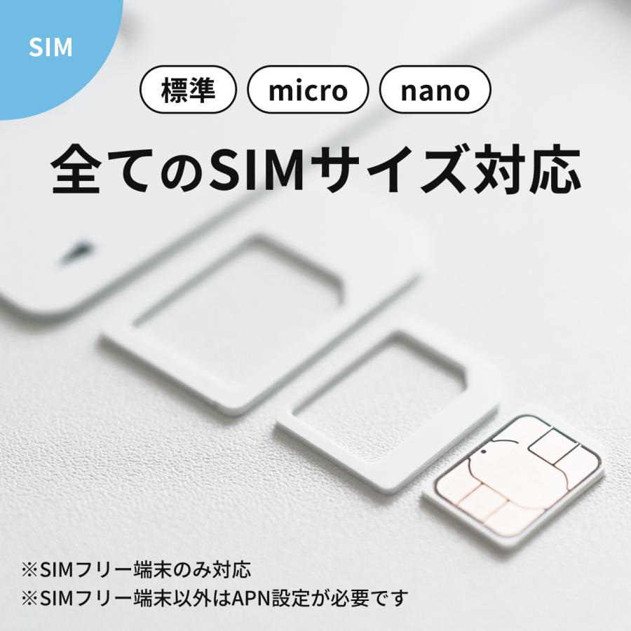 [クラウド管理ストア限定価格] MINION端末セットプラン(100GB/360日)